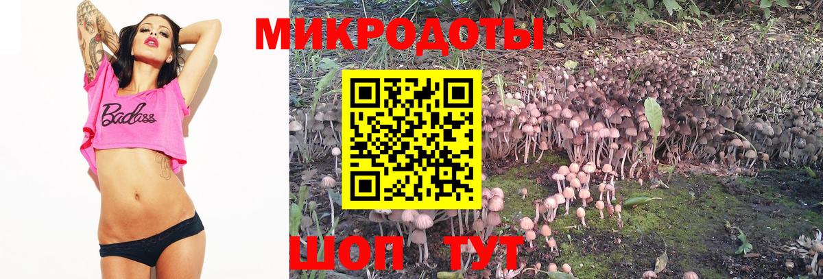 Гусь-Хрустальный  Псилоцибиновые грибы прущие грибы  наркотики  Вход с VPN 